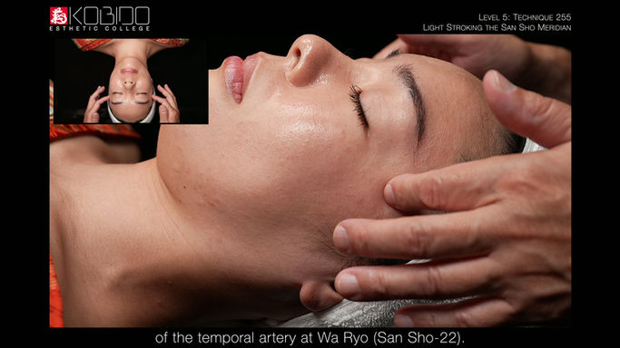 Technique 255: Light Stroking the San Sho Meridian